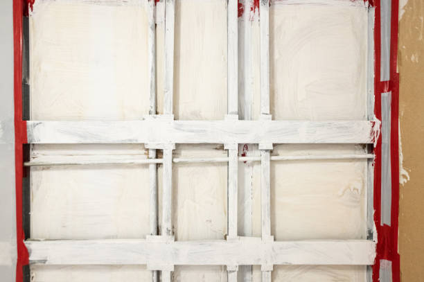 Best Mold Odor Removal Services  in Wells, NV