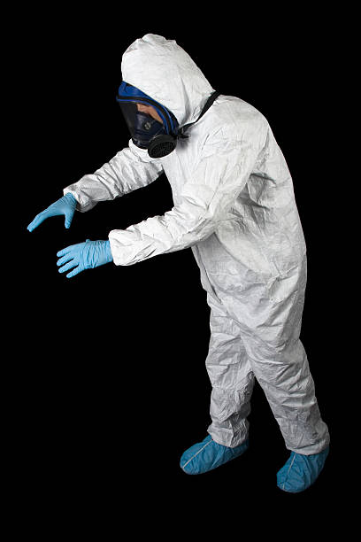  Wells, NV Mold Removal Pros